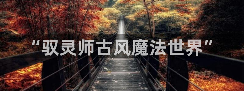 免费香蕉漫画：“驭灵师古风魔法世界”