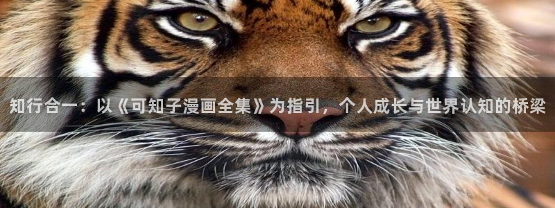 香蕉漫画软件下载：知行合一：以《可知子漫画全集》为指引，个人成长与世界认知的桥梁